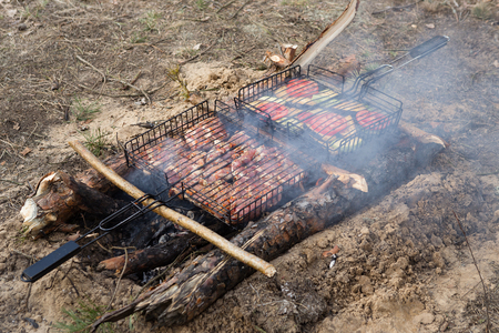delicious grilled meat with vegetable over the coals on a barbecueの写真素材