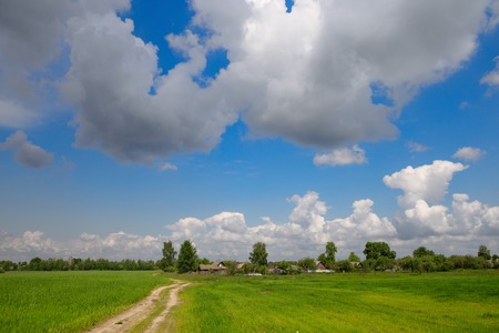 Meadow with green grass and blue sky with clouds.の写真素材