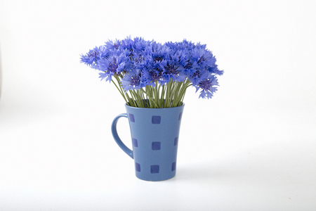blue cornflowers on a old white wooden background.の写真素材