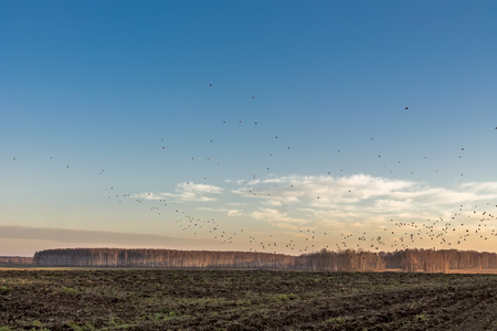 plowed field in spring and clouds over it.の写真素材