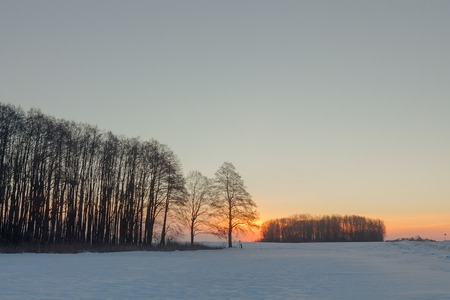 Fantastic evening landscape in a colorful sunlight. Dramatic wintry scene. .の写真素材
