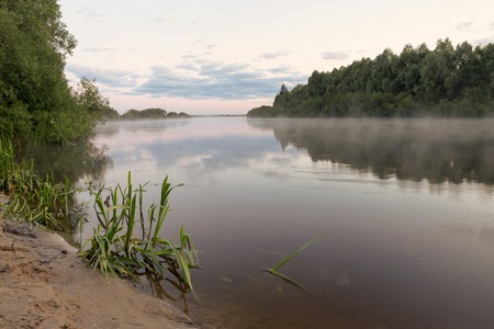 Summer. Early morning. Sunrise. Mirror surface of the pond with a haze of fog. Old willow tree on the shore. The rays of light breaking through tree branches and fog and illuminate the water surface.の写真素材