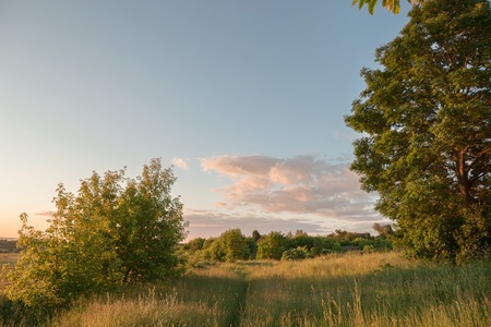 Misty sunrise over a river and a field of grass with path on it.の写真素材