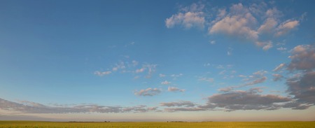 Beautiful landscape of wheat field, road on the background of stunning blue sky with amazing cumulus clouds. Wonderful panoramic view. Countryside in summer. Rye. Country roads. Picturesque wallpaperの写真素材