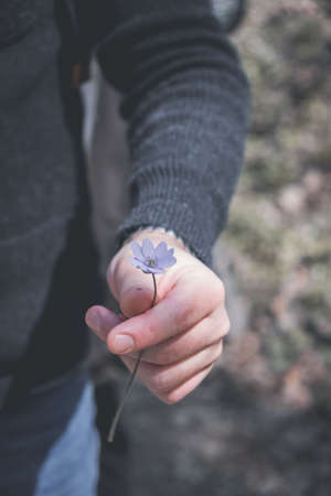 A close up of a hand holding flower. High quality photoの写真素材