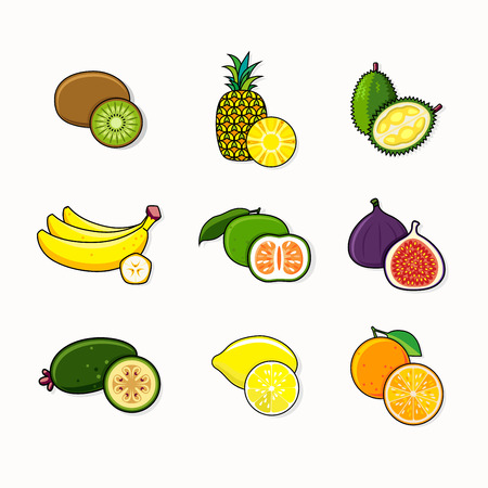 Set of citrus and tropical fruits isolated on background.のイラスト素材