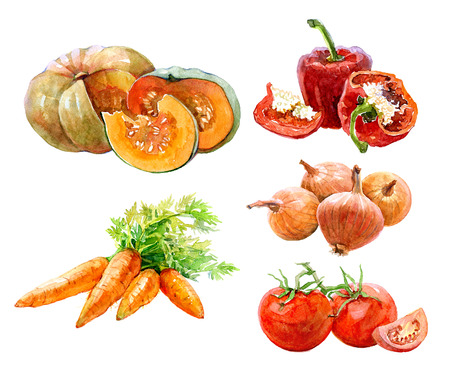 Set of watercolor vegetables onion, paprika, parrot, tomatoes, pumpkin isolated on a white background.の写真素材