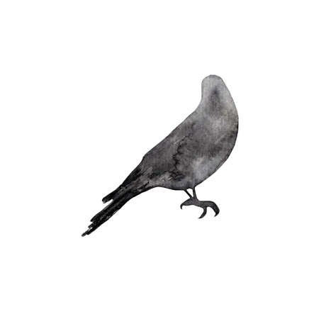 Bird.Zoo creative poster, graphic, animal silhouette sketch.Animal graphic for postcards, greeting cards, and fabric.の写真素材