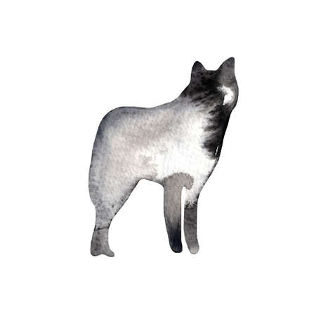 Wolf stands silhouette.Zoo creative poster,graphic,animal silhouette sketch.Animal graphic for postcard,greeting card,fabric.の写真素材