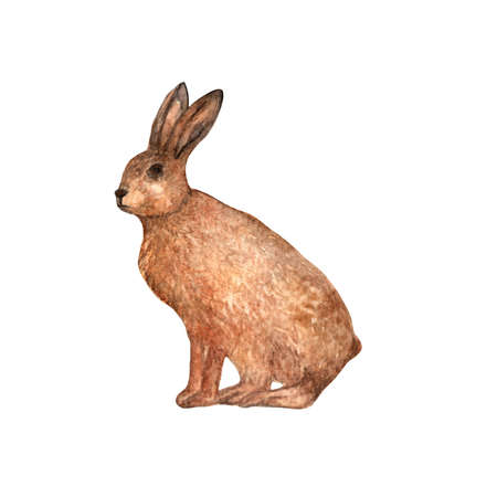 Rabbit.Zoo creative poster,graphic,animal silhouette sketch.Animal graphic for postcard,greeting card,fabricの写真素材