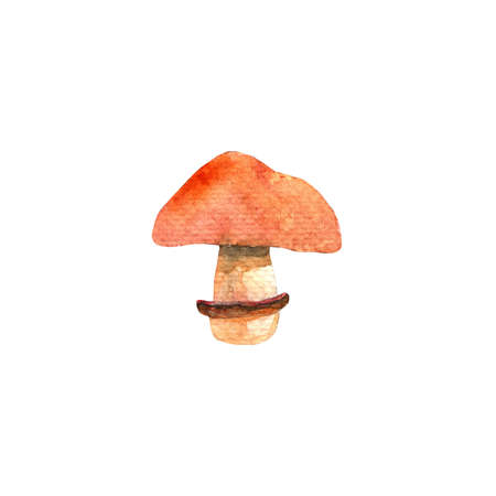 Mushrooms.Cortinarius caperatus.Watercolor hand painted illustration on white background.
