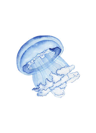 Watercolor cute jellyfish.Marine life under sea illustration. Cartoon ocean marine scenes isolated for aquarium or sea waters collectionの写真素材