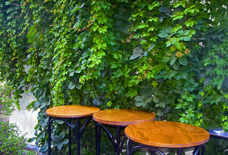Three round wooden tables with ivy background, open restaurantの写真素材