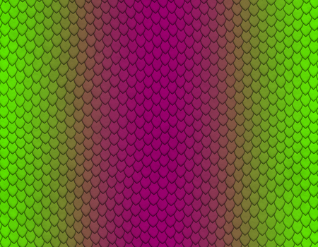 Green and magenta gradient snake skin seamless pattern, sharp scaleの写真素材