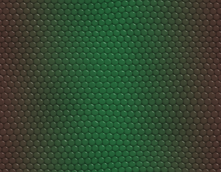 Brown and green gradient snake skin seamless pattern, hexagonal scaleの写真素材