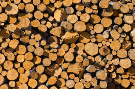 Pile of sliced fire wood