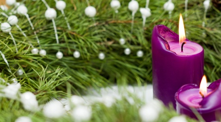 A burning Christmas candles and green spruce branchesの写真素材