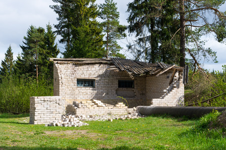 Ruined brick old building in the woodsの写真素材