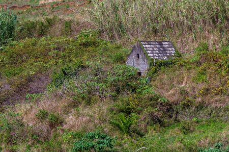 The old cabin stay in grapes field.の写真素材