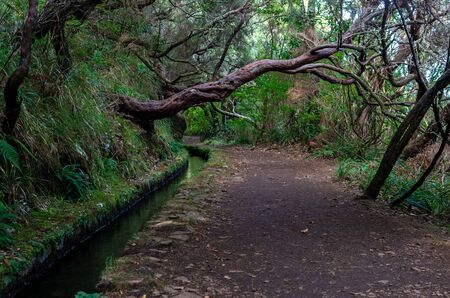 Irrigation canal levada in Madeira islands forests, Portugal