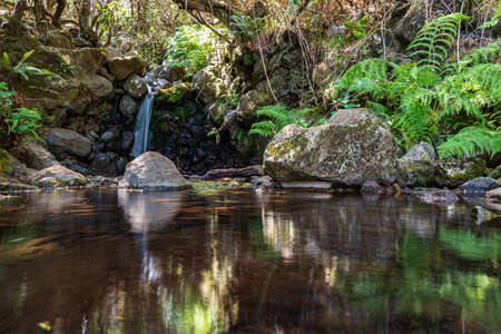 Mini waterfall in Madeira Island. Levada Lagoa Dona Beijaの写真素材