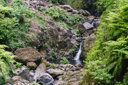 View of the Caldeirao verde waterfall, Santana, Madeira, Portugal