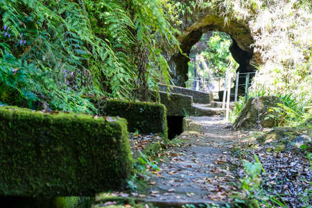 The path by caminho do pinaculo e folhadal levada in Madeira islandのeditorial素材