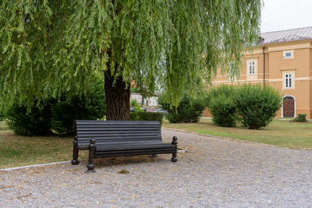 Lonely bench near the tree somewhere in Montenegro.の写真素材
