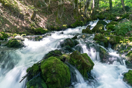 Cascades of Bukovica river in Montenegro at sunny summer day.の写真素材