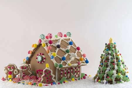 Gingerbread House on snow