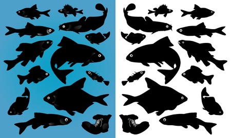 fish silhouettesのイラスト素材