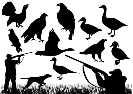Duck huntingのイラスト素材