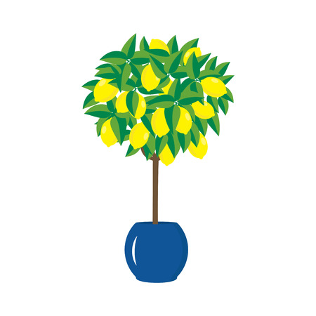 lemon tree in the pot, bright flat lemons and leaves vectorのイラスト素材
