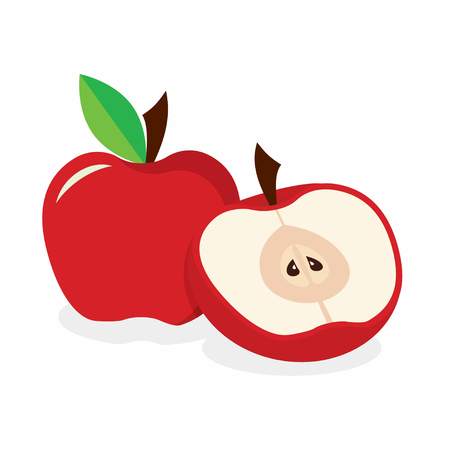 red fruit on the white, flat with slice and leaf, tasty and healthy foodのイラスト素材