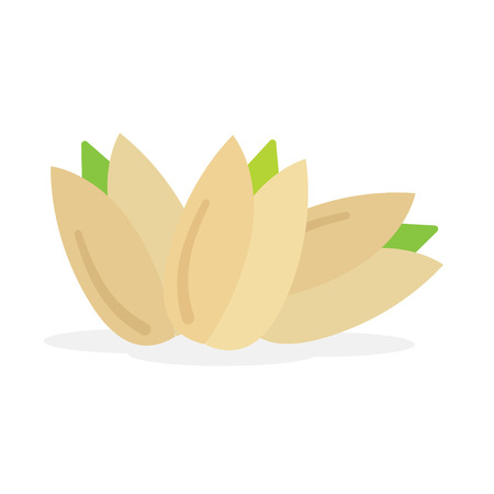 Pistachio nuts. Isolated vector illustration on white background.のイラスト素材