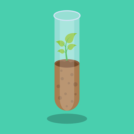 Biotechnology. Laboratory glassware with soil and plant, vector illustrationのイラスト素材