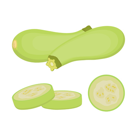 Set with whole and slices of zucchini on a white background, raw dietary vegetables, harvest courgette organic ingredientのイラスト素材