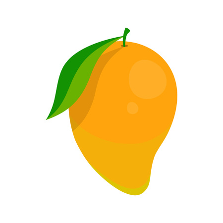 mango vector illustrationのイラスト素材