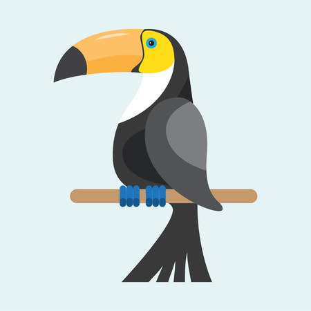 Toucan sitting on branch isolated on white background, exotic birdのイラスト素材