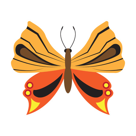 Abstract butterfly. isolated on white background. Vector Illustrationのイラスト素材
