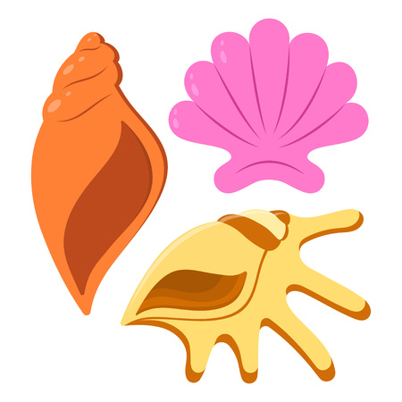 Set of cartoon sea shells, vector illustration in flat style isolated on white backgroundのイラスト素材