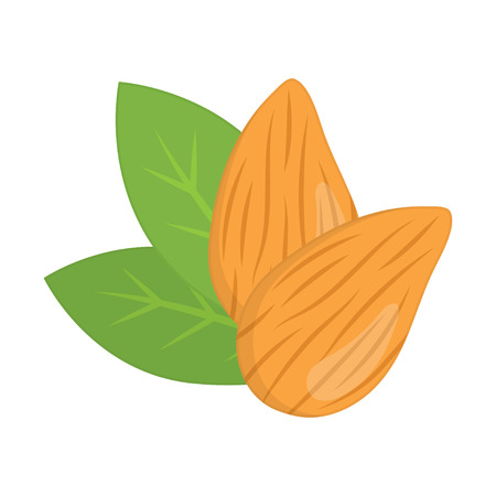Almonds nuts whole with green leaves in the background. Vector illustration isolated on white backgroundのイラスト素材