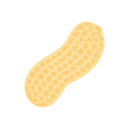 Peanut icon isolated on white background, flat style vector illustration.のイラスト素材