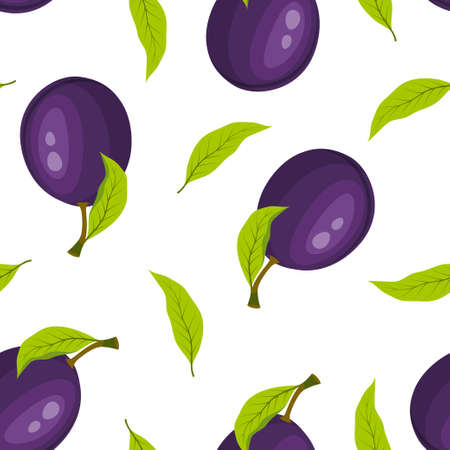 juicy fresh plums, summer seamless pattern, vector illustration isolated on white backgroundのイラスト素材