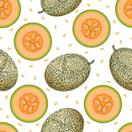 seamless pattern with fresh whole, half melon fruit isolated on white background, cantaloupe melon, summer fruits print, vector illustration for any designのイラスト素材