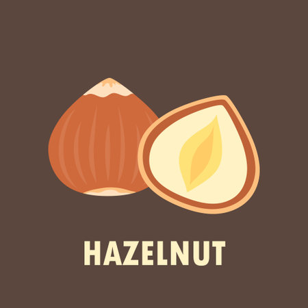 whole and half peeled hazelnut isolated on brown background, vector illustration of healthy food in cartoon flat styleのイラスト素材