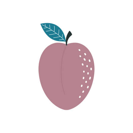 cartoon plum isolated on white background, food for healthy diet, dessert, elements for spring and summer design, vector illustrationのイラスト素材