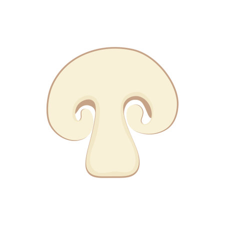 fresh champignon mushroom, vector illustration, piece of champignon isolated on white backgroundのイラスト素材