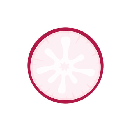 slice of red radish isolated on white background, vector illustration in cartoon flat style, organic vegetableのイラスト素材