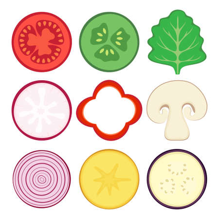 round vegetable halves vector icons isolated on white background, fresh radish, onion, tomato, cucumber, lettuce, pepper, mushroom, potato and eggplant cartoon illustrationのイラスト素材